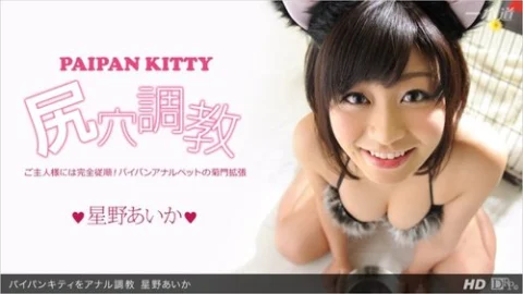 1PONDO-013113-523 1Pondo-013113_523 — Anal Training For Shaved Kitty