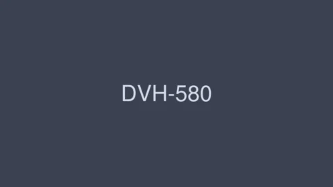 DVH-580 Discerning Handicraft 4 Hours SP 40 People’s Handmade 16