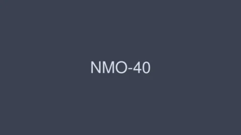 NMO-40 Sequel / Abnormal Sexual Intercourse Fifty Mother and play Sanjyusan Sanjyusan Tsukushi Wakako