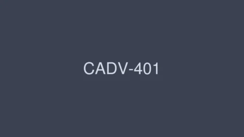 CADV-401 Maid costume 8 hours DX